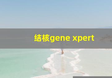 结核gene xpert